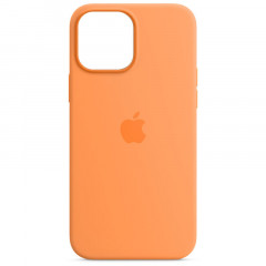 Чохол Silicone case (AAA) full with Magsafe для Apple iPhone 13 Pro (6.1")