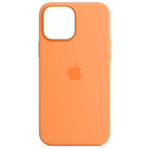 Чохол Silicone case (AAA) full with Magsafe для Apple iPhone 13 Pro (6.1